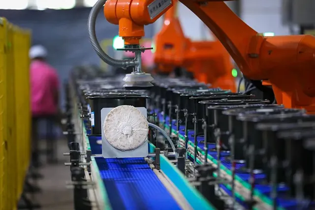 Automatisierte Produktionslinie für die effiziente Herstellung von Pu-Erh-Torten
